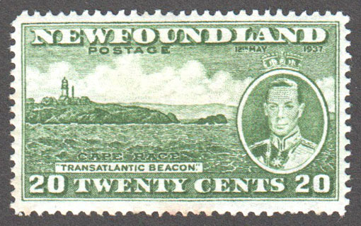 Newfoundland Scott 240 Mint F (P13.7) - Click Image to Close